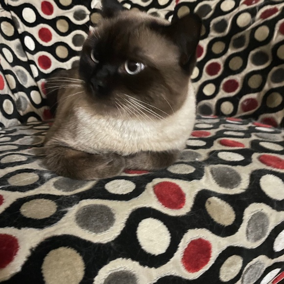 Meet your Posher, jk - Picture 1 of 1